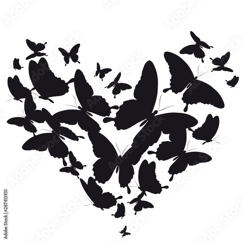 butterfly258