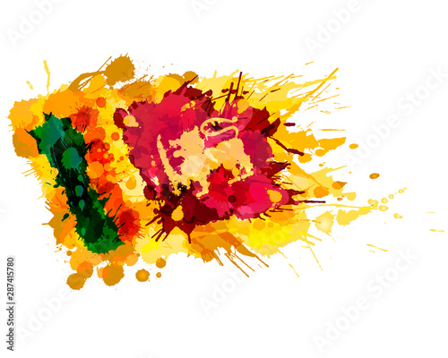 Flag of Democratic Socialist Republic of Sri Lanka made of colorful splashes