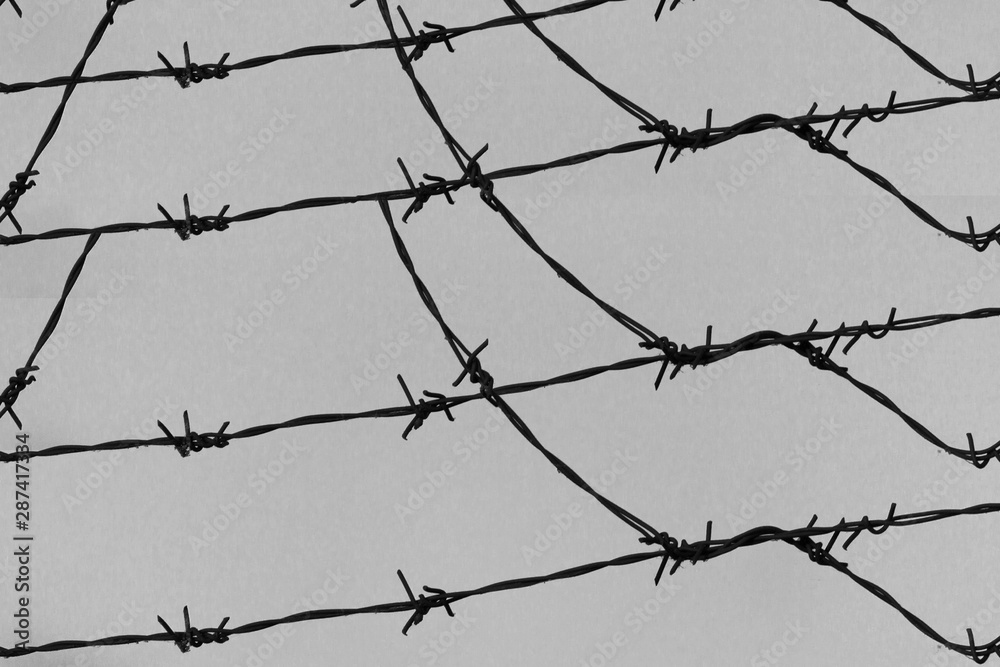 Barbed wire on fence Barbed wire on fence
