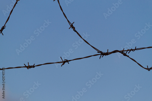 Barbed wire on fence