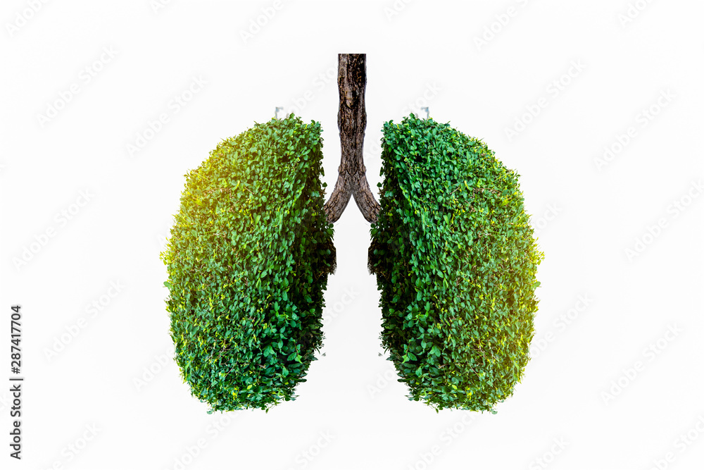 Lung green tree-shaped images, medical concepts, autopsy, 3D display and animals as an element Lung green tree-shaped images, medical concepts, autopsy, 3D display and animals as an element