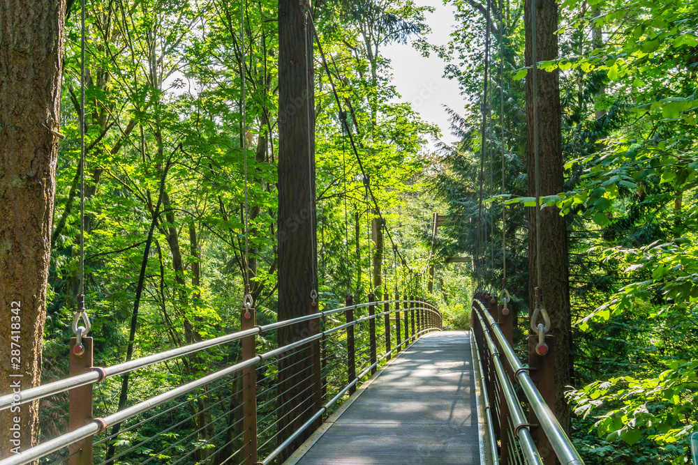 Obraz premium Suspension Walking Brdige 11