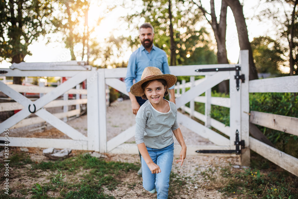 A father with small daughter walking outdoors on family farm. A father with small daughter walking outdoors on family farm.