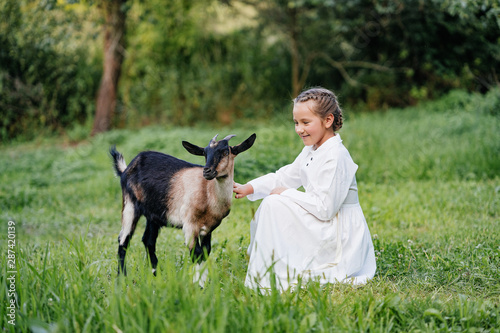 Child  little girl feeds goat and little goats in the garden