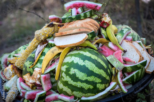 Vegetarian family food organic waste, non-GMO products.