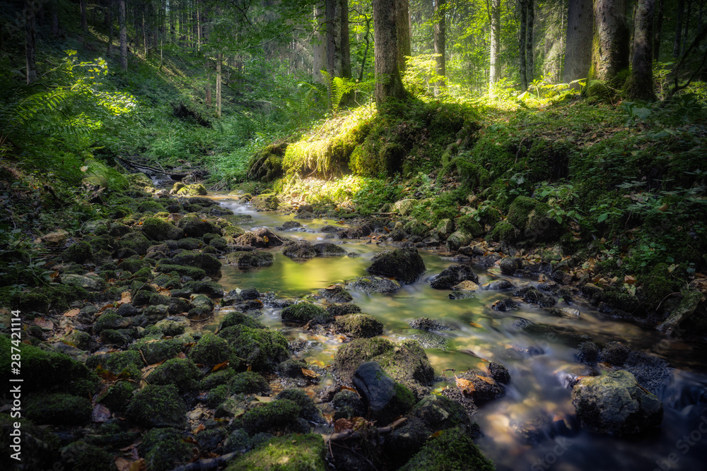Fototapeta premium Wildbach