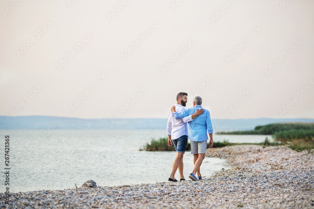 Rear view of senior father and mature son walking by the lake. Copy space.