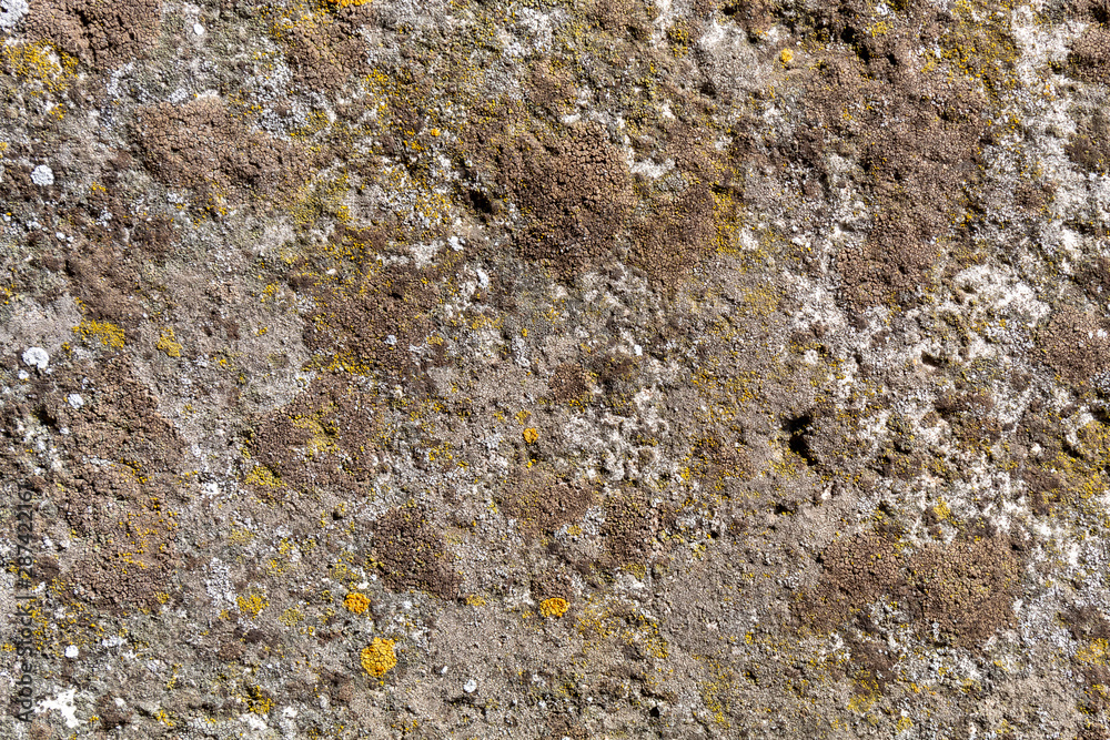 Old Weathered Natural Stone Texture Old Weathered Natural Stone Texture