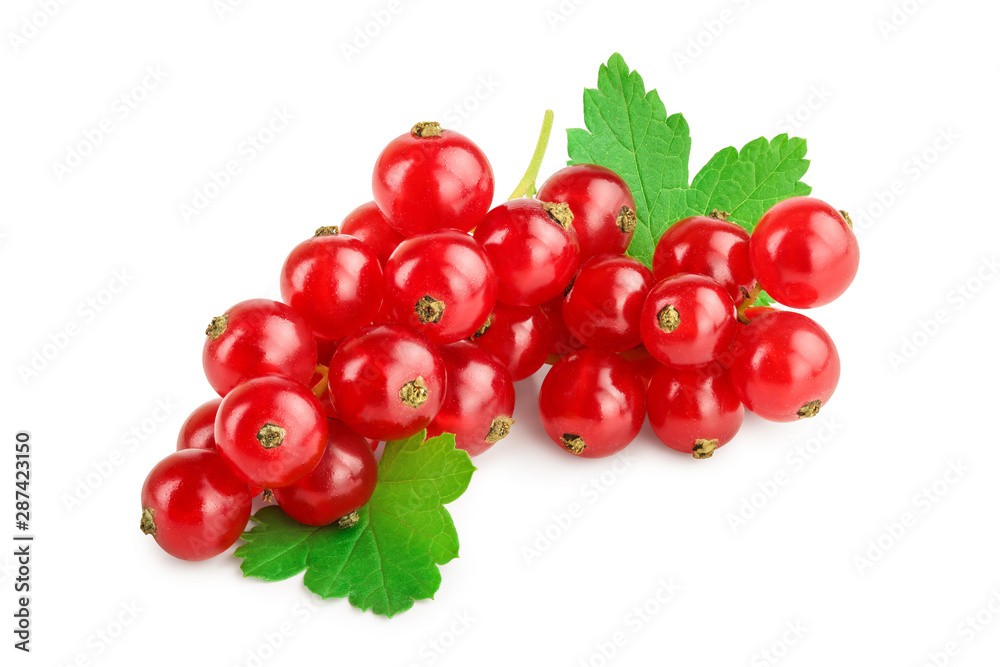 Red currant berries with leaf isolated on white background