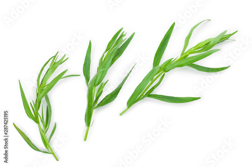 tarragon or estragon isolated on a white background. Artemisia dracunculus. Top view. Flat lay