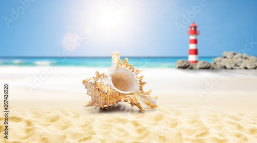 Muschel am strand mit Leuchtturm
