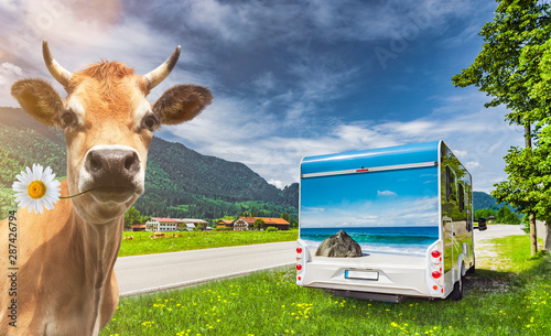 Kuh vor Reisemobil in Bayerb