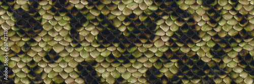 Background 3d illustration- seamless snake pattern. Animal decorative