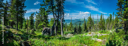 Fototapeta Naklejka Na Ścianę i Meble -  Panoramic sunny summer view in taiga forest over sayan mountains, Ergaki national park, Krasnoyarsk region, Siberia, Russia