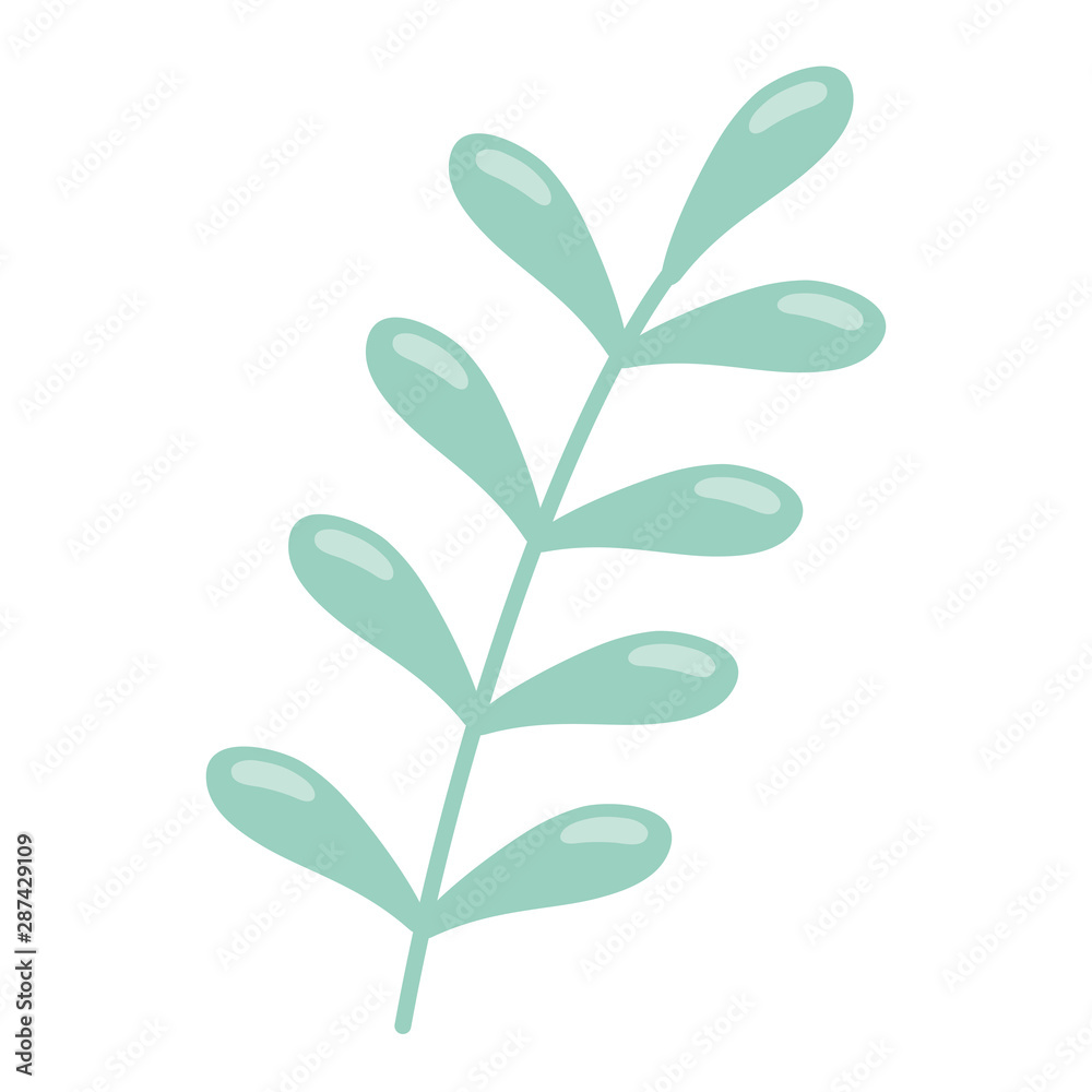 Isolated leaf design vector illustration Isolated leaf design vector illustration