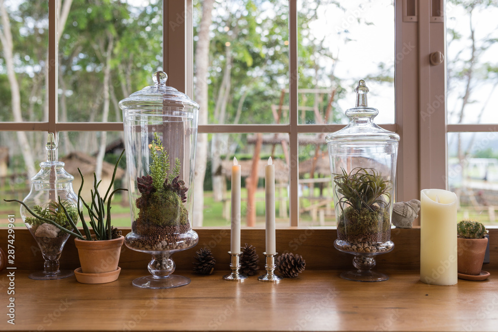 A indoor cactus plants in a glass jar inside a restaurant. A indoor cactus plants in a glass jar inside a restaurant.