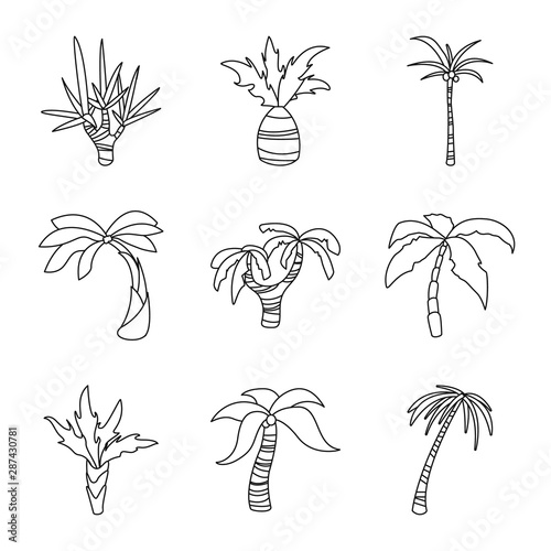 Vector illustration of tropical and summer sign. Collection of tropical and botanical stock symbol for web. photo