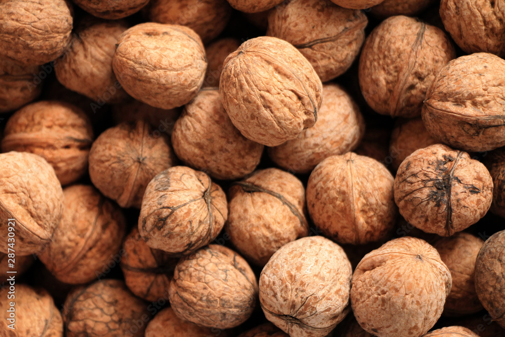 Fresh walnuts in shell background Fresh walnuts in shell background