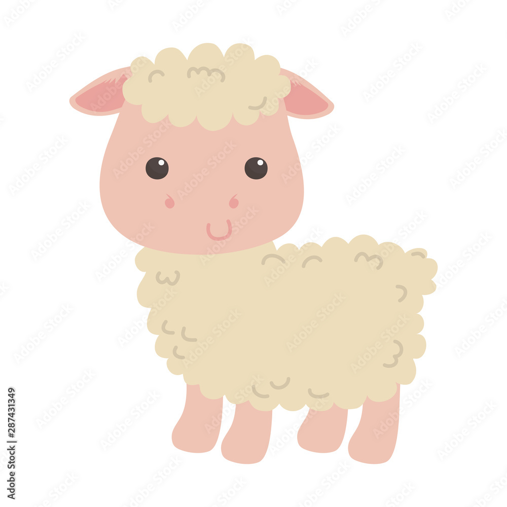 Isolated sheep cartoon vector design Isolated sheep cartoon vector design