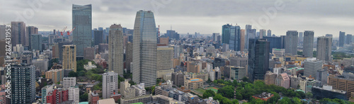 Tokyo Japan skylines and skyscrapers buildings, aerial view, around Shinjuku ward. Asia. © Jeremy