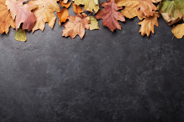 Autumn background