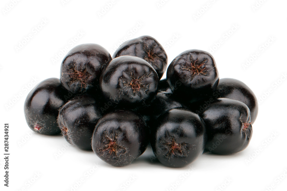 Aronia melanocarpa (black chokeberry) isolated on white background Aronia melanocarpa (black chokeberry) isolated on white background