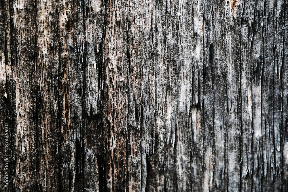 old peeling paint. wood texture. the background old peeling paint. wood texture. the background
