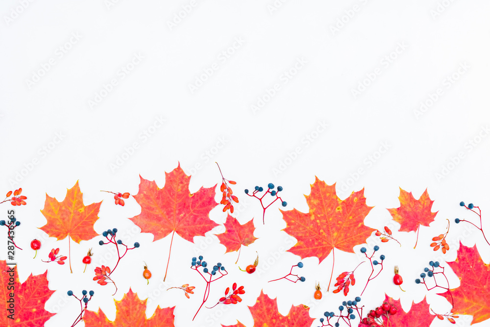 Flat lay border with colorful autumn leaves and berries on a white background