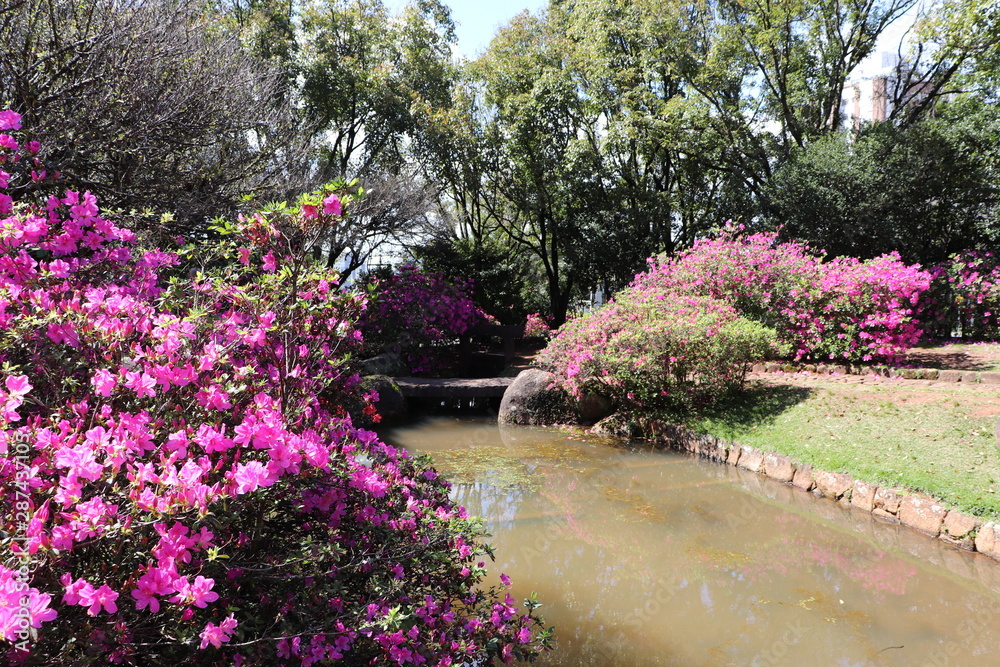 The beautiful landscaping found at Square Província de Shiga  in Porto Alegre, Brazil.