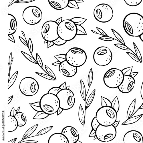 Pattern with blueberry and leaves in kawaii style. Coloring page with fruits for cafe, paper . Coloring book for adults and children