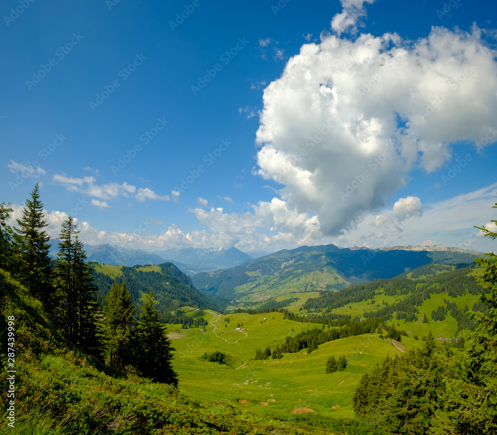 Summer time mountain panoramic landscape in Switzerland