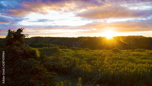 Colorful sunset over golden/ green field and forest in the summer, with lens flare. Evening. Homer, Alaska, USA.