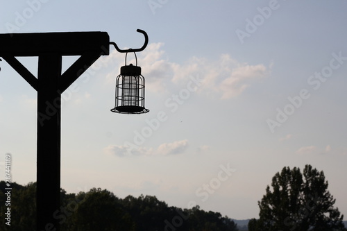 bird feeder