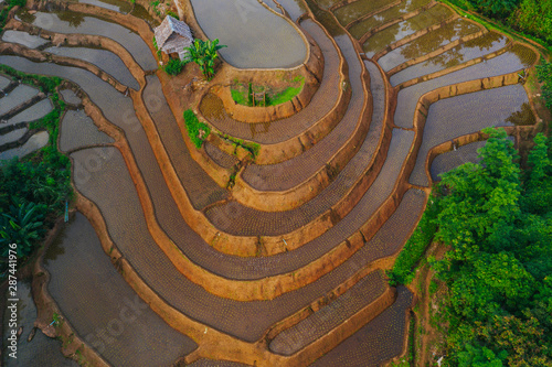 Aerial view of beautiful and freshly planted rice terraces in rainy season.
