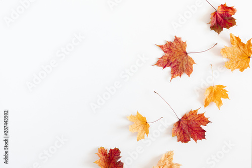 Autumn creative composition. Dried leaves on white background. Fall concept. Autumn background. Flat lay  top view  copy space
