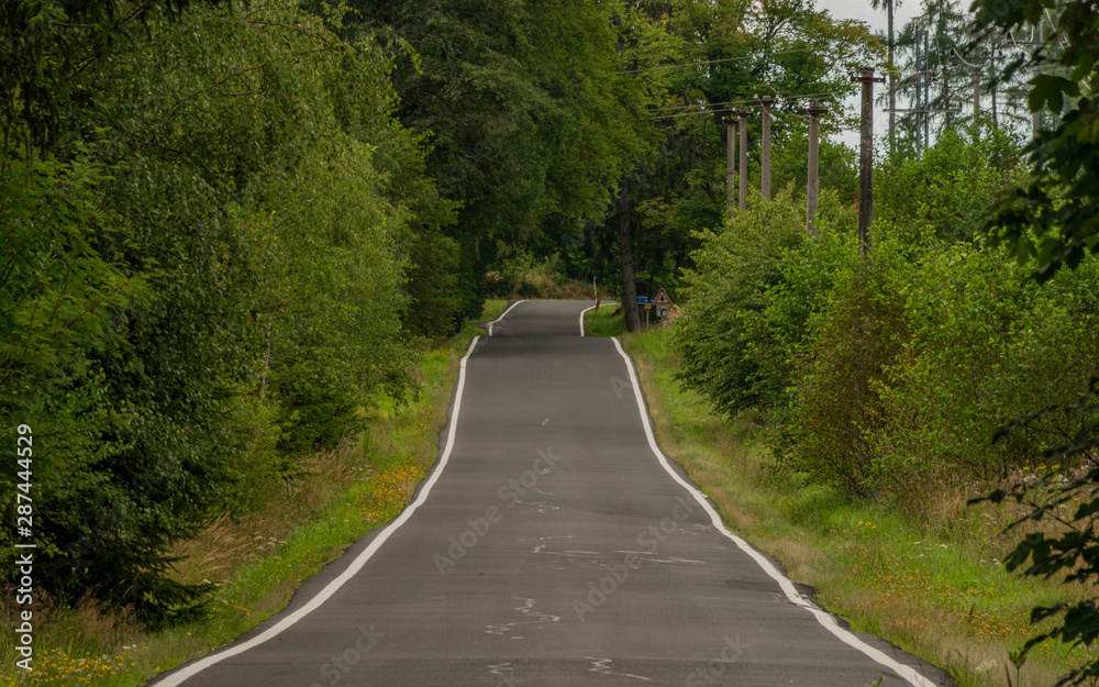 Summer asphalt road in dark forest in Krusne hory mountains