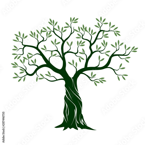 Olive tree on white background. Vector Illustration and concept pictogram.