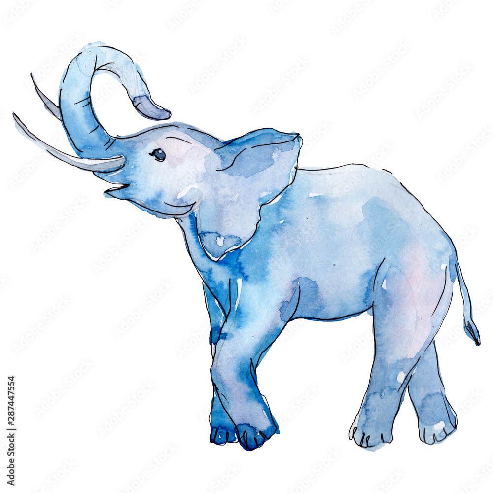 Obraz premium Baby elephant animal isolated. Watercolor background illustration set. Isolated elephant illustration element.