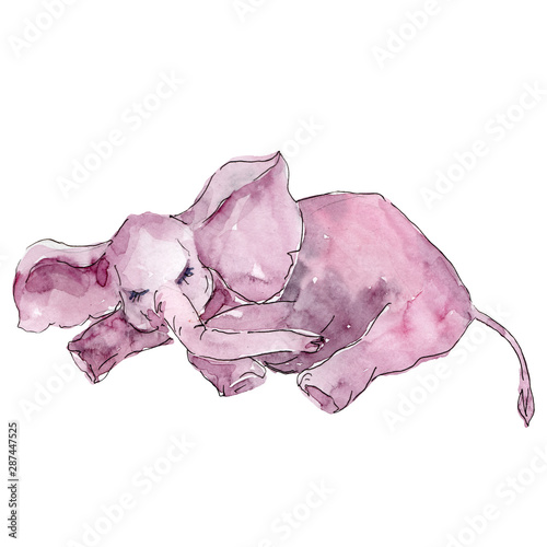 Baby elephant animal isolated. Watercolor background illustration set. Isolated elephant illustration element.