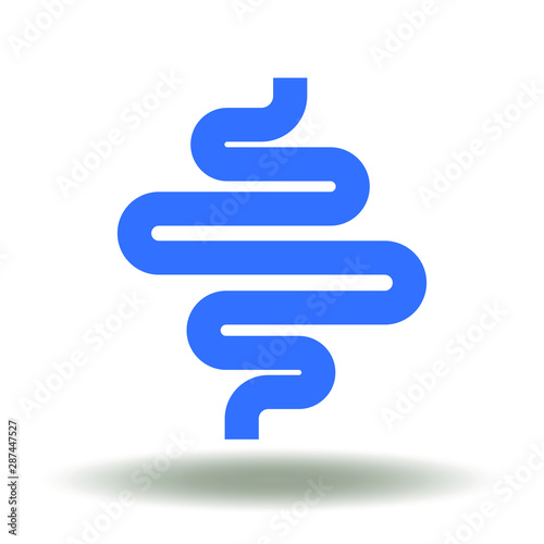 Intestine anatomy health icon vector. Intestinal digestive tract logo.