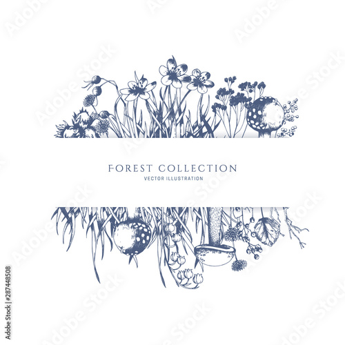 Forest plants stationery frame. Vector collection of lily of the valley, mulberry, berry, grass, hazelnut,mushrooms. Hand drawn sketch.