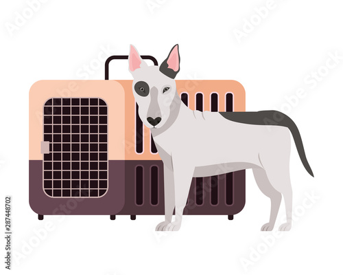 dog and pet transport box on white background