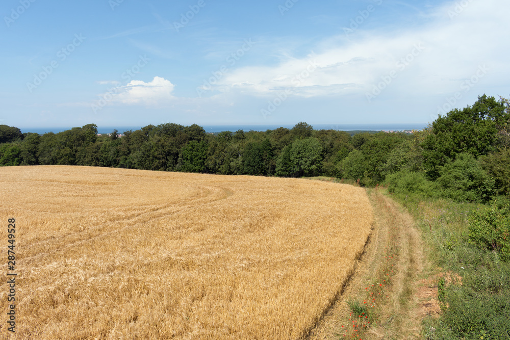 Rural Landscape along the Coast of Mecklenburg Western-Pomerania, Germany