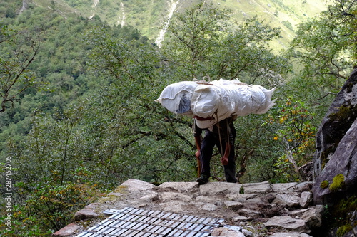 Himalayas porter photo