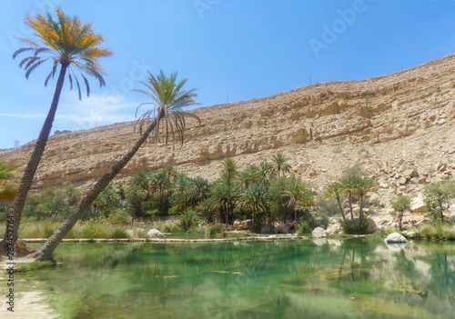 Landscape Wadi (Oase, Oasis) Bani Khalid Al Hajar Mountains (جِبَال ٱلْحَجَر‎, Jibāl al-Ḥajar, The Rocky Mountains, The Stone Mountains) Sultanate of Oman photo
