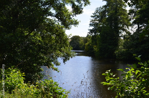 Rivière sauvage