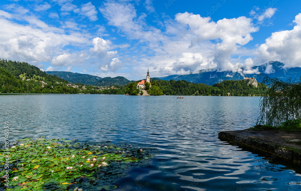 Beautiful scenery of Lake Bled with an island and a church in the foreground white lilies.