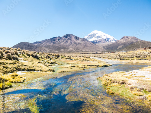 high Andean tundra landscape in the mountains of the Andes. © Toniflap