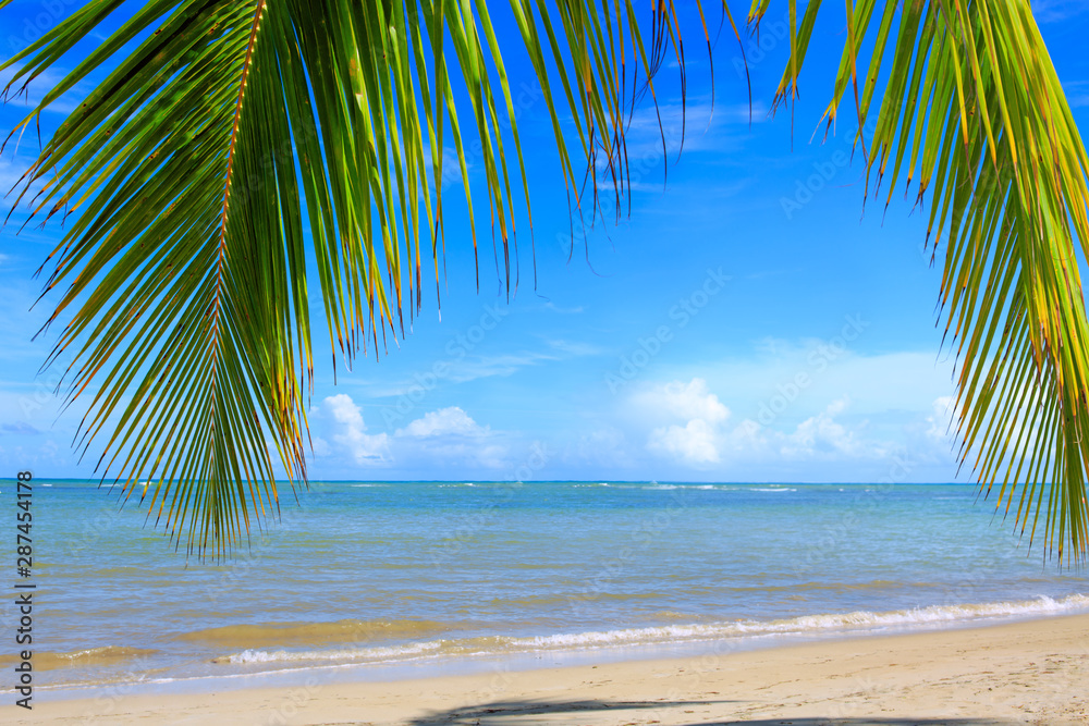 Palm tree branch and Caribbean sea . Travel background.