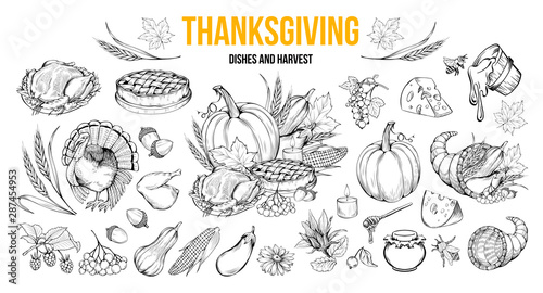 Thanksgiving coloring book illustrations set. Traditional autumn holiday celebration hand drawn symbols. Fall season harvest, natural vegetables. Turkey, pumpkin, honey and pie monochrome drawings